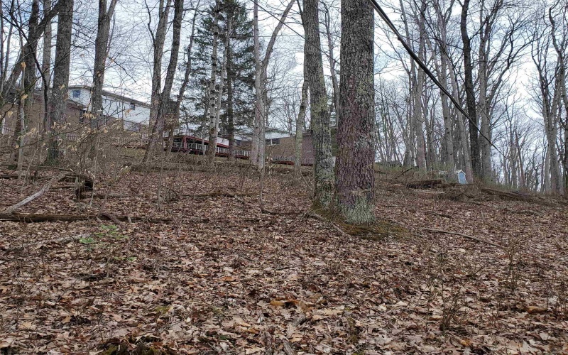 356 Bearhunter Estates, Elkins, West Virginia 26241, 5 Bedrooms Bedrooms, 12 Rooms Rooms,3 BathroomsBathrooms,Single Family Detached,For Sale,Bearhunter,10164068 356 Bearhunter Estates, Elkins, West Virginia 26241, 5 Bedrooms Bedrooms, 12 Rooms Rooms,3 BathroomsBathrooms,Single Family Detached,For Sale,Bearhunter,10164068