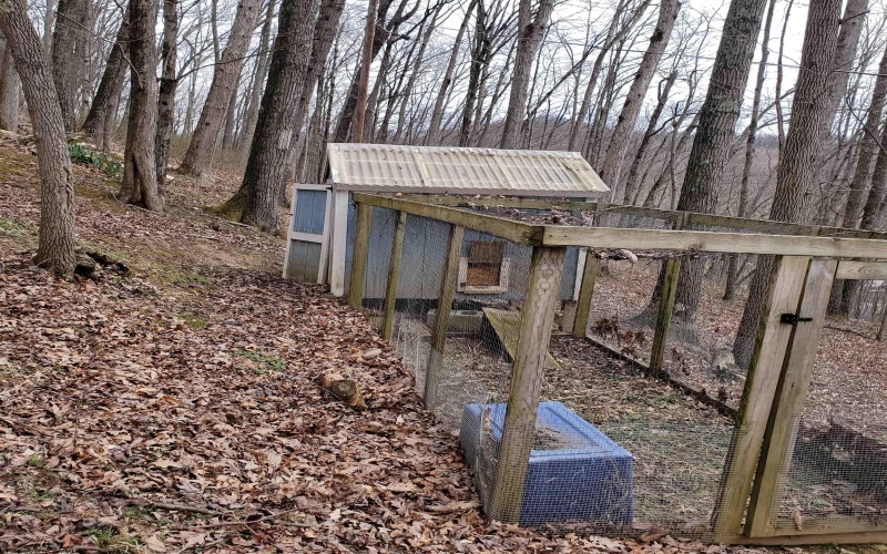 356 Bearhunter Estates, Elkins, West Virginia 26241, 5 Bedrooms Bedrooms, 12 Rooms Rooms,3 BathroomsBathrooms,Single Family Detached,For Sale,Bearhunter,10164068 356 Bearhunter Estates, Elkins, West Virginia 26241, 5 Bedrooms Bedrooms, 12 Rooms Rooms,3 BathroomsBathrooms,Single Family Detached,For Sale,Bearhunter,10164068