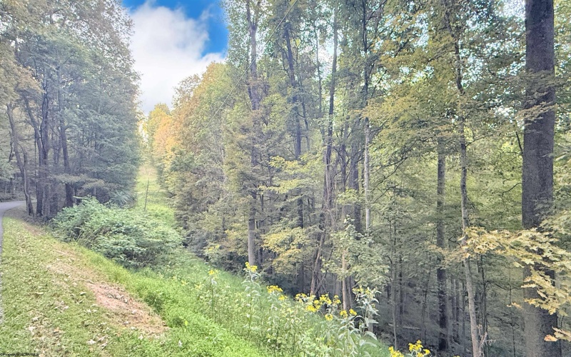 Lot 1 FLAG RUN Road, Grafton, West Virginia 26354, ,Lots/land,For Sale,FLAG RUN,10161479