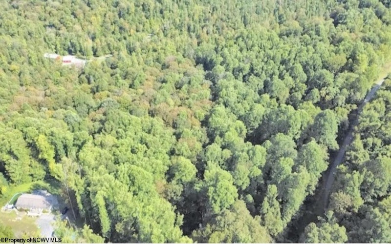 Lot 1 FLAG RUN Road, Grafton, West Virginia 26354, ,Lots/land,For Sale,FLAG RUN,10161479