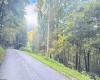 Lot 1 FLAG RUN Road, Grafton, West Virginia 26354, ,Lots/land,For Sale,FLAG RUN,10161479