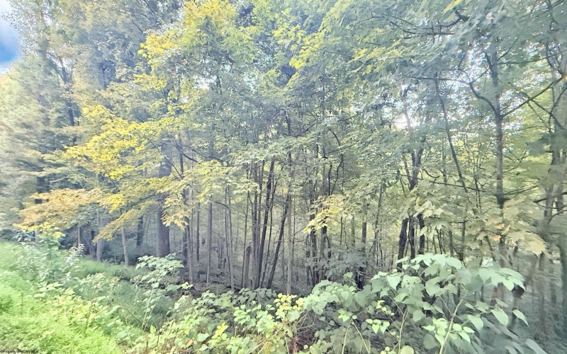 Lot 1 FLAG RUN Road, Grafton, West Virginia 26354, ,Lots/land,For Sale,FLAG RUN,10161479