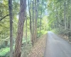 Lot 1 FLAG RUN Road, Grafton, West Virginia 26354, ,Lots/land,For Sale,FLAG RUN,10161479