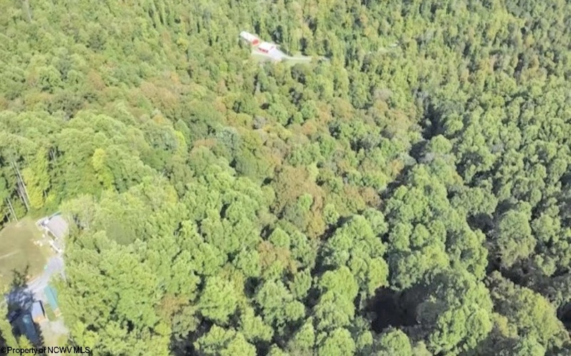 Lot 1 FLAG RUN Road, Grafton, West Virginia 26354, ,Lots/land,For Sale,FLAG RUN,10161479