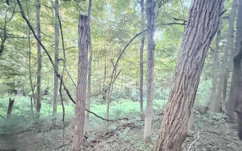 Lot 1 FLAG RUN Road, Grafton, West Virginia 26354, ,Lots/land,For Sale,FLAG RUN,10161479