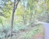 Lot 1 FLAG RUN Road, Grafton, West Virginia 26354, ,Lots/land,For Sale,FLAG RUN,10161479