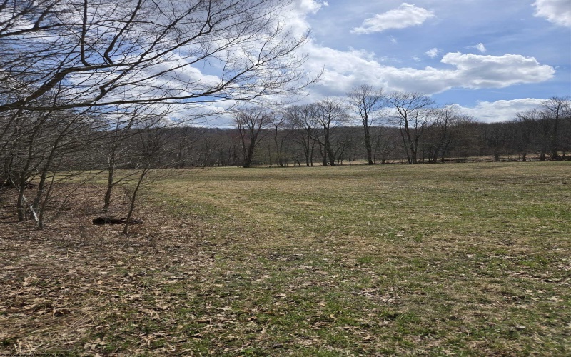 0 Cupps Run Road, Terra Alta, West Virginia 26764, ,Lots/land,For Sale,Cupps Run,10164070 0 Cupps Run Road, Terra Alta, West Virginia 26764, ,Lots/land,For Sale,Cupps Run,10164070