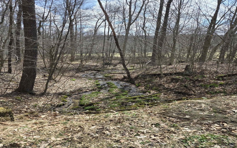 0 Cupps Run Road, Terra Alta, West Virginia 26764, ,Lots/land,For Sale,Cupps Run,10164070 0 Cupps Run Road, Terra Alta, West Virginia 26764, ,Lots/land,For Sale,Cupps Run,10164070