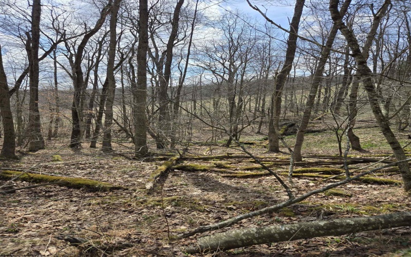 0 Cupps Run Road, Terra Alta, West Virginia 26764, ,Lots/land,For Sale,Cupps Run,10164070 0 Cupps Run Road, Terra Alta, West Virginia 26764, ,Lots/land,For Sale,Cupps Run,10164070