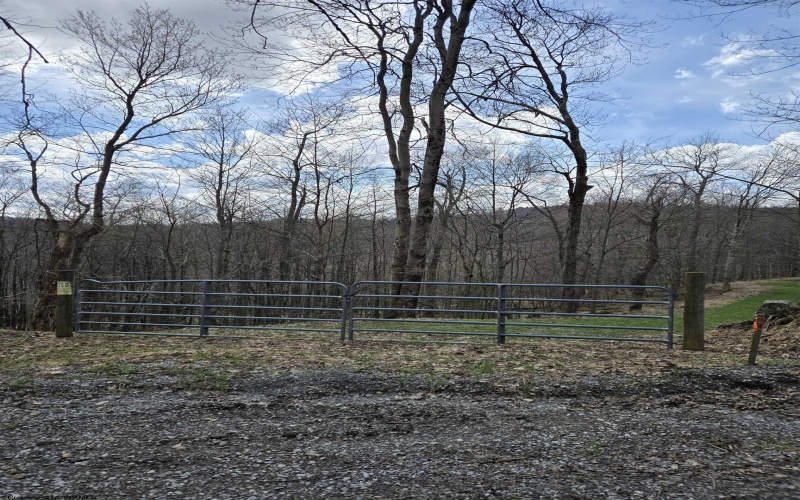 0 Cupps Run Road, Terra Alta, West Virginia 26764, ,Lots/land,For Sale,Cupps Run,10164070 0 Cupps Run Road, Terra Alta, West Virginia 26764, ,Lots/land,For Sale,Cupps Run,10164070