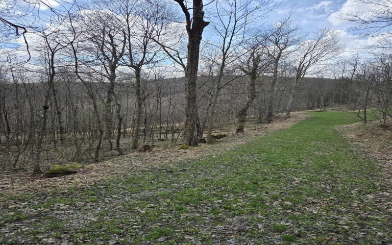 0 Cupps Run Road, Terra Alta, West Virginia 26764, ,Lots/land,For Sale,Cupps Run,10164070 0 Cupps Run Road, Terra Alta, West Virginia 26764, ,Lots/land,For Sale,Cupps Run,10164070