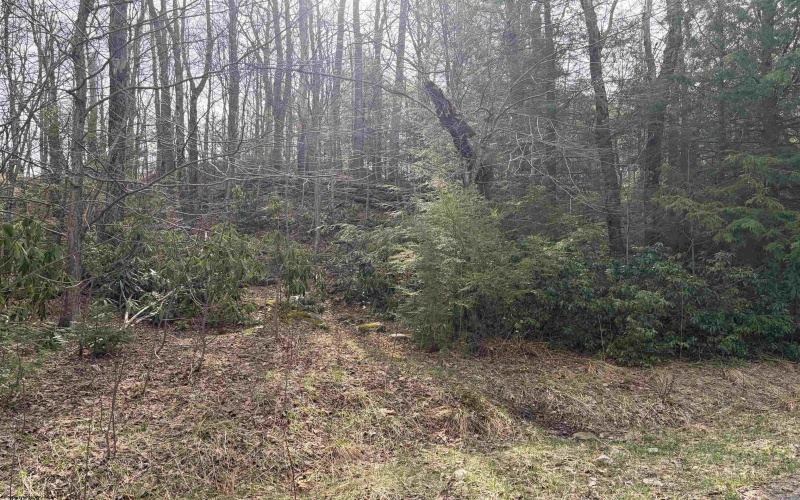 Lot 81 Gondola Court, Davis, West Virginia 26260, ,Lots/land,For Sale,Gondola,10164071 Lot 81 Gondola Court, Davis, West Virginia 26260, ,Lots/land,For Sale,Gondola,10164071