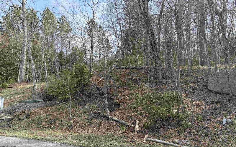 Lot 81 Gondola Court, Davis, West Virginia 26260, ,Lots/land,For Sale,Gondola,10164071 Lot 81 Gondola Court, Davis, West Virginia 26260, ,Lots/land,For Sale,Gondola,10164071
