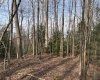 Lot 81 Gondola Court, Davis, West Virginia 26260, ,Lots/land,For Sale,Gondola,10164071 Lot 81 Gondola Court, Davis, West Virginia 26260, ,Lots/land,For Sale,Gondola,10164071