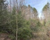 Lot 81 Gondola Court, Davis, West Virginia 26260, ,Lots/land,For Sale,Gondola,10164071 Lot 81 Gondola Court, Davis, West Virginia 26260, ,Lots/land,For Sale,Gondola,10164071