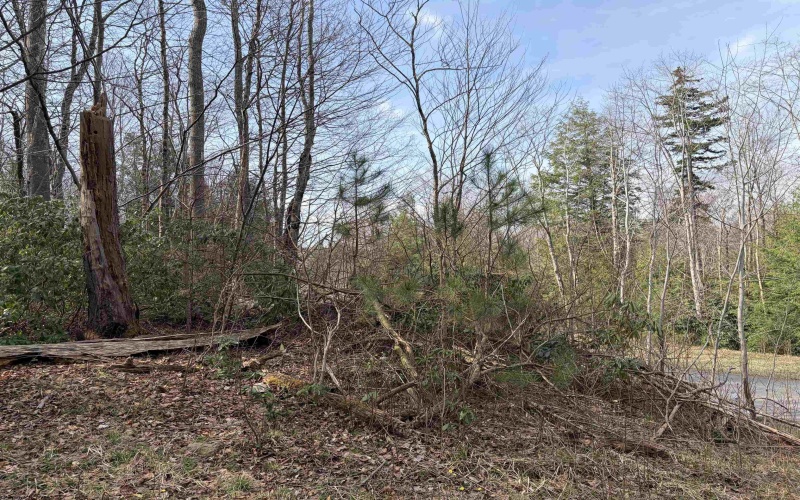 Lot 81 Gondola Court, Davis, West Virginia 26260, ,Lots/land,For Sale,Gondola,10164071 Lot 81 Gondola Court, Davis, West Virginia 26260, ,Lots/land,For Sale,Gondola,10164071
