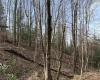 Lot 81 Gondola Court, Davis, West Virginia 26260, ,Lots/land,For Sale,Gondola,10164071 Lot 81 Gondola Court, Davis, West Virginia 26260, ,Lots/land,For Sale,Gondola,10164071