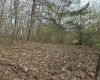 TBD Crooked Fork Road, Walkersville, West Virginia 26447, ,Lots/land,For Sale,Crooked Fork,10164079