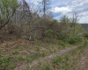 TBD Crooked Fork Road, Walkersville, West Virginia 26447, ,Lots/land,For Sale,Crooked Fork,10164079