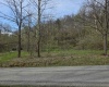 TBD Crooked Fork Road, Walkersville, West Virginia 26447, ,Lots/land,For Sale,Crooked Fork,10164079