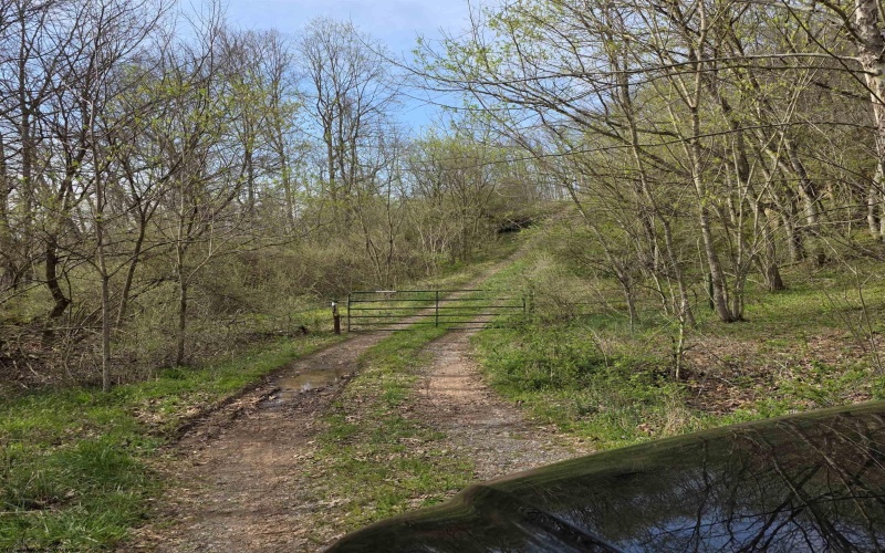 TBD Crooked Fork Road, Walkersville, West Virginia 26447, ,Lots/land,For Sale,Crooked Fork,10164079