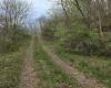 TBD Crooked Fork Road, Walkersville, West Virginia 26447, ,Lots/land,For Sale,Crooked Fork,10164079