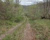 TBD Crooked Fork Road, Walkersville, West Virginia 26447, ,Lots/land,For Sale,Crooked Fork,10164079