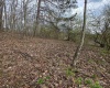TBD Crooked Fork Road, Walkersville, West Virginia 26447, ,Lots/land,For Sale,Crooked Fork,10164079