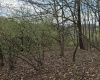 TBD Crooked Fork Road, Walkersville, West Virginia 26447, ,Lots/land,For Sale,Crooked Fork,10164079