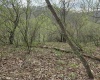 TBD Crooked Fork Road, Walkersville, West Virginia 26447, ,Lots/land,For Sale,Crooked Fork,10164079