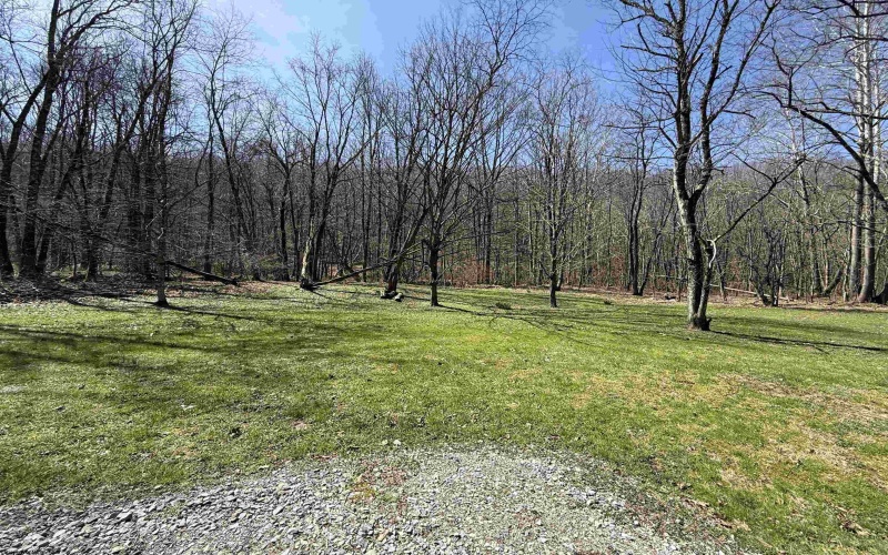 18640 George Washington Highway, Rowlesburg, West Virginia 26425, ,Lots/land,For Sale,George Washington,10164078 18640 George Washington Highway, Rowlesburg, West Virginia 26425, ,Lots/land,For Sale,George Washington,10164078