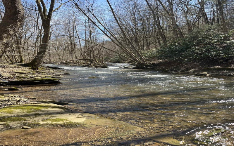 18640 George Washington Highway, Rowlesburg, West Virginia 26425, ,Lots/land,For Sale,George Washington,10164078 18640 George Washington Highway, Rowlesburg, West Virginia 26425, ,Lots/land,For Sale,George Washington,10164078