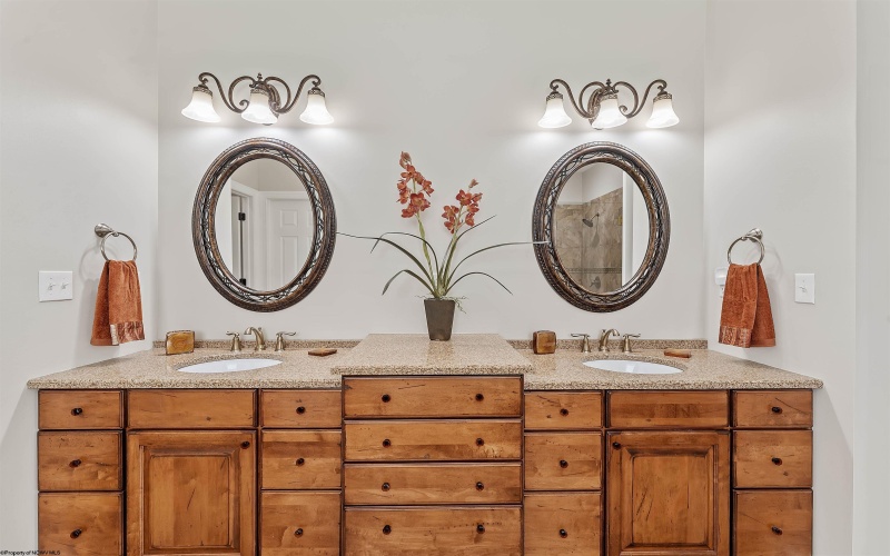 205 Merideth Street, Morgantown, West Virginia 26508, 5 Bedrooms Bedrooms, 11 Rooms Rooms,5 BathroomsBathrooms,Single Family Detached,For Sale,Merideth,10164076