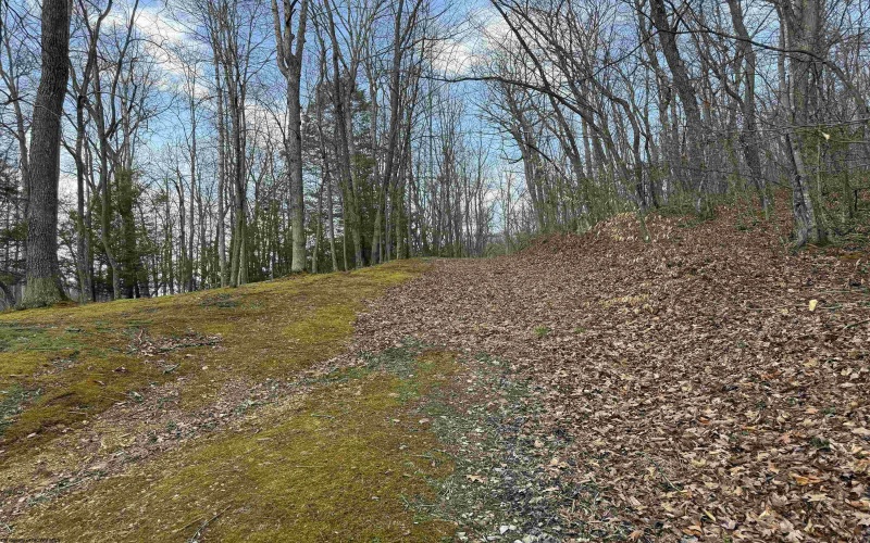 250 Timber Ridge Drive, Elkins, West Virginia 26241, 3 Bedrooms Bedrooms, 7 Rooms Rooms,2 BathroomsBathrooms,Single Family Detached,For Sale,Timber Ridge,10164083