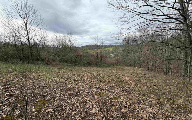 TBD Saltwell Road, Bridgeport, West Virginia 26330, ,Lots/land,For Sale,Saltwell,10164116 TBD Saltwell Road, Bridgeport, West Virginia 26330, ,Lots/land,For Sale,Saltwell,10164116