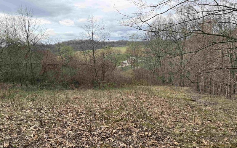 TBD Saltwell Road, Bridgeport, West Virginia 26330, ,Lots/land,For Sale,Saltwell,10164116 TBD Saltwell Road, Bridgeport, West Virginia 26330, ,Lots/land,For Sale,Saltwell,10164116