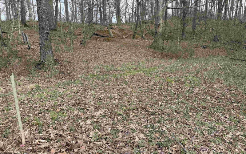 TBD Saltwell Road, Bridgeport, West Virginia 26330, ,Lots/land,For Sale,Saltwell,10164116 TBD Saltwell Road, Bridgeport, West Virginia 26330, ,Lots/land,For Sale,Saltwell,10164116