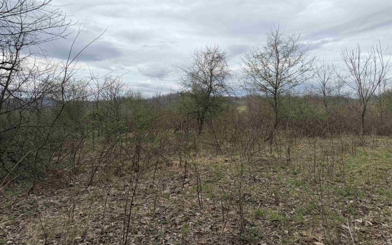 TBD Saltwell Road, Bridgeport, West Virginia 26330, ,Lots/land,For Sale,Saltwell,10164116 TBD Saltwell Road, Bridgeport, West Virginia 26330, ,Lots/land,For Sale,Saltwell,10164116