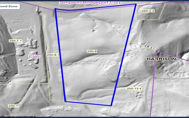TBD Saltwell Road, Bridgeport, West Virginia 26330, ,Lots/land,For Sale,Saltwell,10164116 TBD Saltwell Road, Bridgeport, West Virginia 26330, ,Lots/land,For Sale,Saltwell,10164116