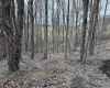 TBD Saltwell Road, Bridgeport, West Virginia 26330, ,Lots/land,For Sale,Saltwell,10164116 TBD Saltwell Road, Bridgeport, West Virginia 26330, ,Lots/land,For Sale,Saltwell,10164116
