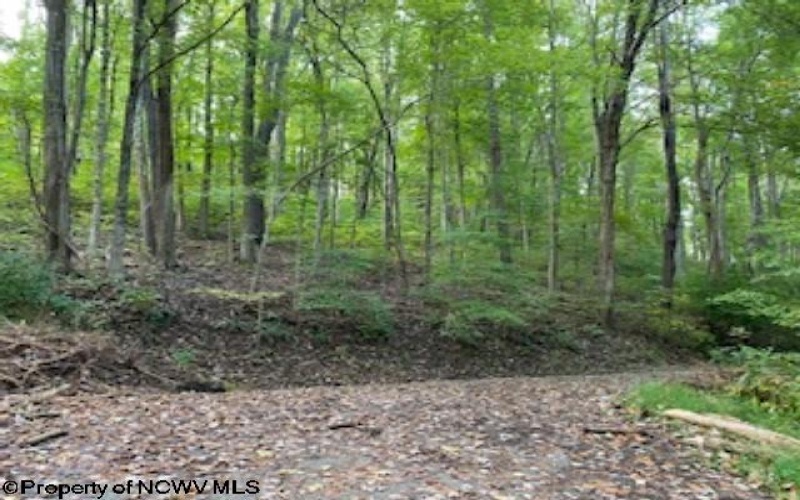 TBD Cross Street, Morgantown, West Virginia 26505, ,Lots/land,For Sale,Cross,10146229