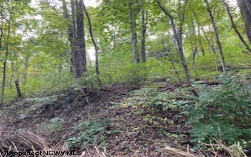 TBD Cross Street, Morgantown, West Virginia 26505, ,Lots/land,For Sale,Cross,10146229