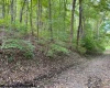 TBD Cross Street, Morgantown, West Virginia 26505, ,Lots/land,For Sale,Cross,10146229