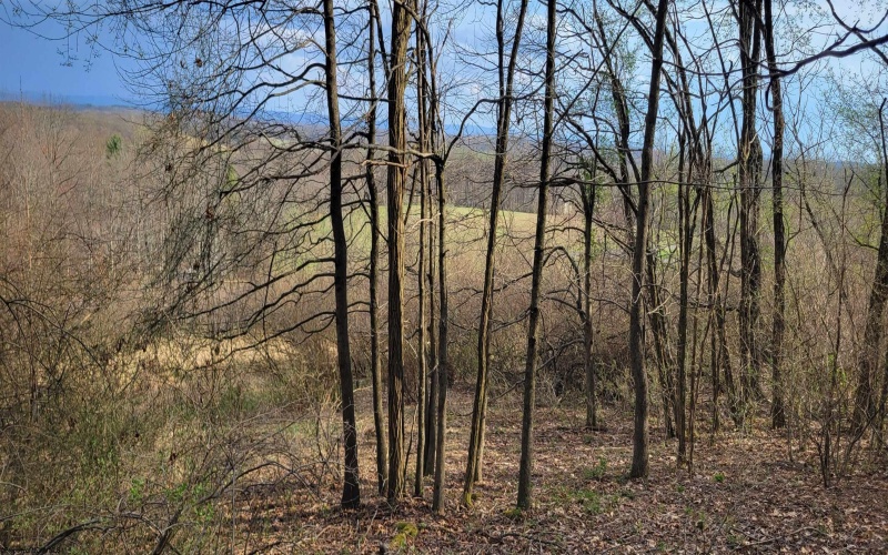 Lot 8 Brewer Road, Morgantown, West Virginia 26508, ,Lots/land,For Sale,Brewer,10164097 Lot 8 Brewer Road, Morgantown, West Virginia 26508, ,Lots/land,For Sale,Brewer,10164097