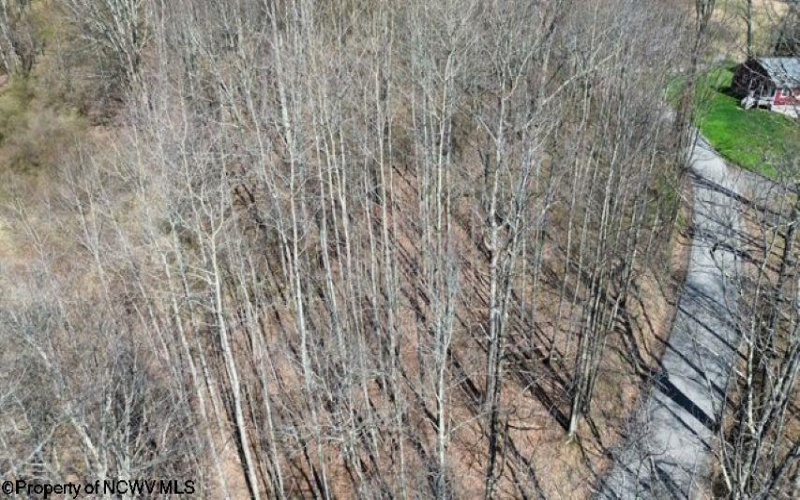 Lot 8 Brewer Road, Morgantown, West Virginia 26508, ,Lots/land,For Sale,Brewer,10164097 Lot 8 Brewer Road, Morgantown, West Virginia 26508, ,Lots/land,For Sale,Brewer,10164097