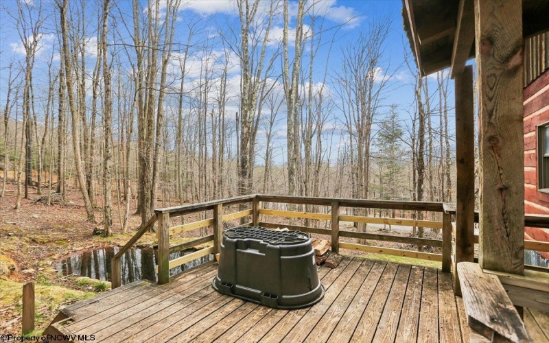 54 Cabin Mountain Road, Davis, West Virginia 26260, 3 Bedrooms Bedrooms, 6 Rooms Rooms,2 BathroomsBathrooms,Single Family Detached,For Sale,Cabin Mountain,10164118