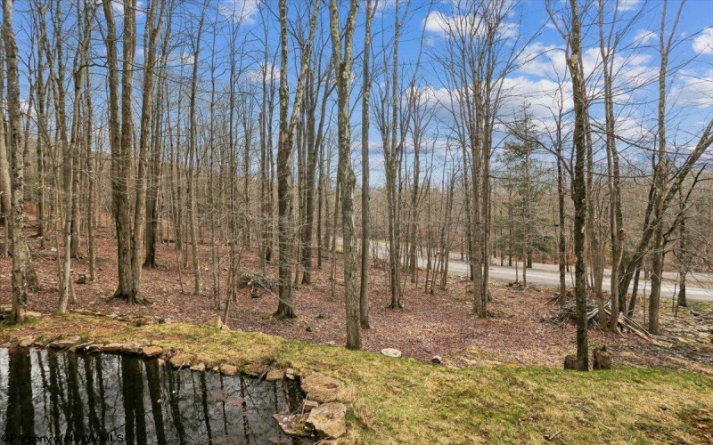 54 Cabin Mountain Road, Davis, West Virginia 26260, 3 Bedrooms Bedrooms, 6 Rooms Rooms,2 BathroomsBathrooms,Single Family Detached,For Sale,Cabin Mountain,10164118