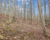 54 Cabin Mountain Road, Davis, West Virginia 26260, 3 Bedrooms Bedrooms, 6 Rooms Rooms,2 BathroomsBathrooms,Single Family Detached,For Sale,Cabin Mountain,10164118