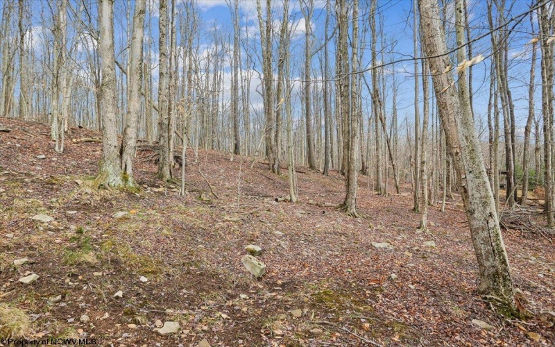 54 Cabin Mountain Road, Davis, West Virginia 26260, 3 Bedrooms Bedrooms, 6 Rooms Rooms,2 BathroomsBathrooms,Single Family Detached,For Sale,Cabin Mountain,10164118