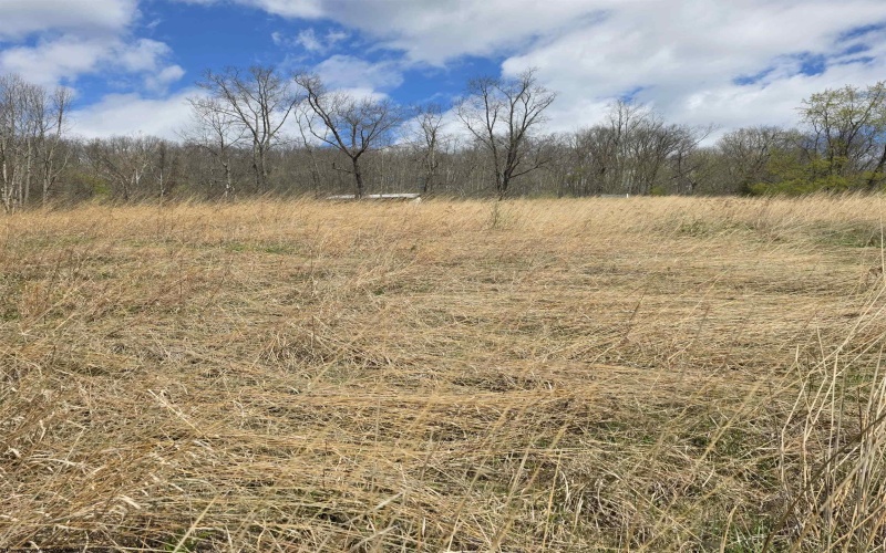 TBD Simpson Run Road, Weston, West Virginia 26452, ,Lots/land,For Sale,Simpson Run,10164098 TBD Simpson Run Road, Weston, West Virginia 26452, ,Lots/land,For Sale,Simpson Run,10164098